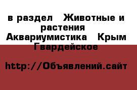  в раздел : Животные и растения » Аквариумистика . Крым,Гвардейское